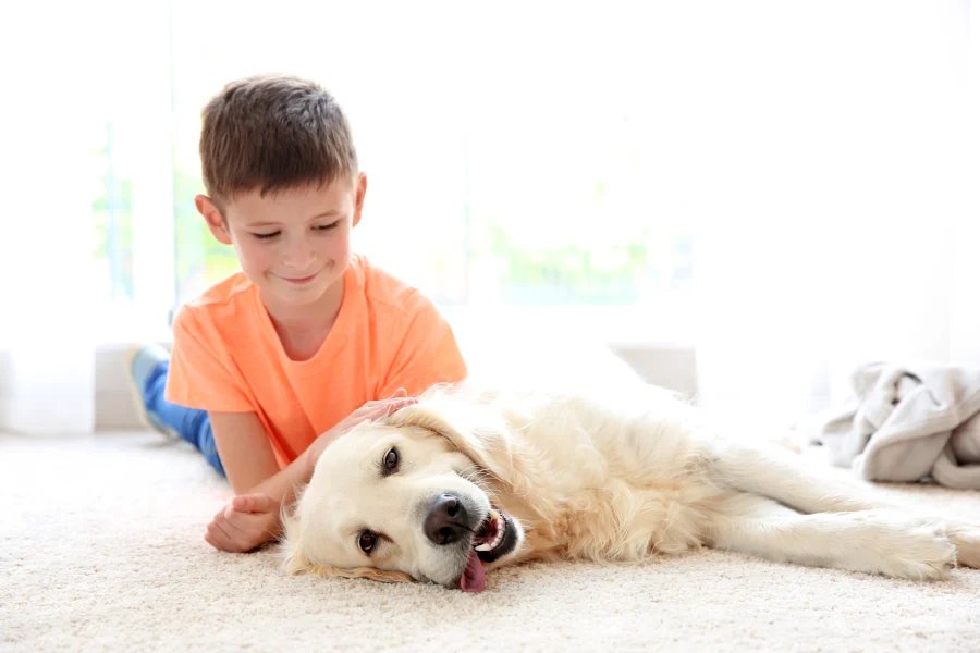 golden retriever laying down on a carpet while a child lays nearby overlooking the dog