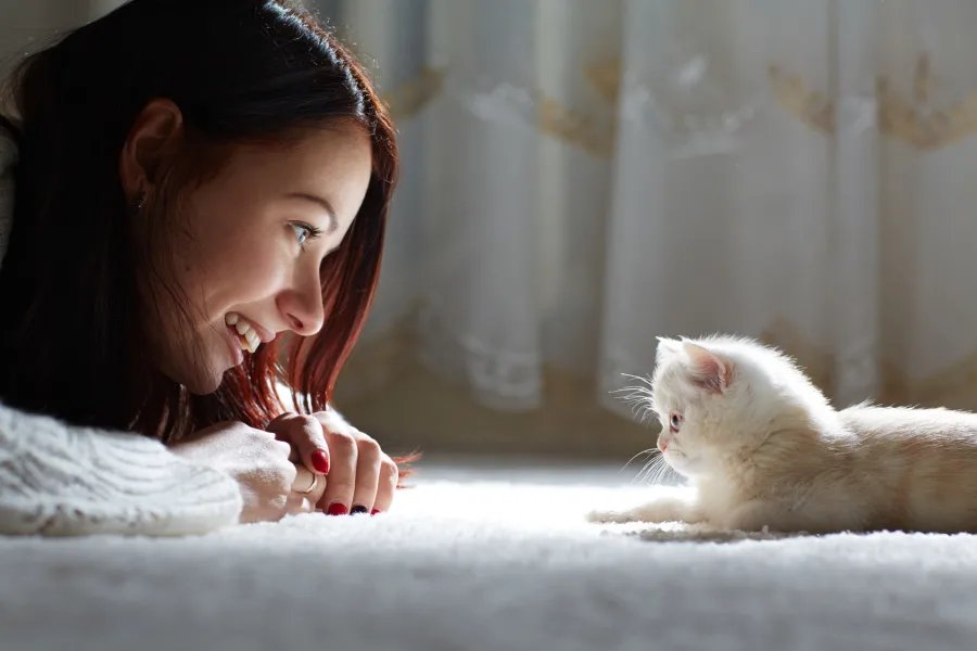 tiny white kitten laying on a carpet, in front of a woman laying down and staring at the kitten while smiling