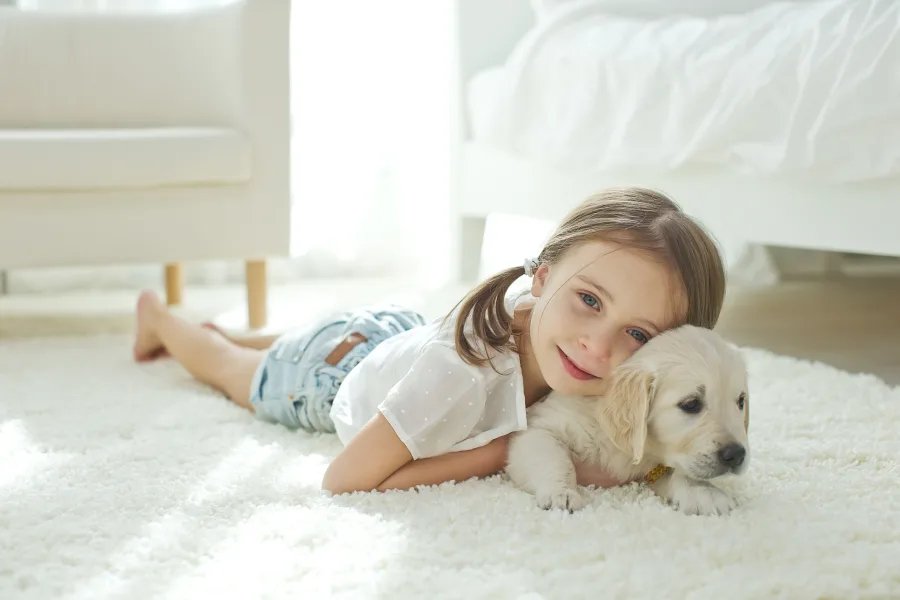 Young girl laying on a small golden retriever puppy