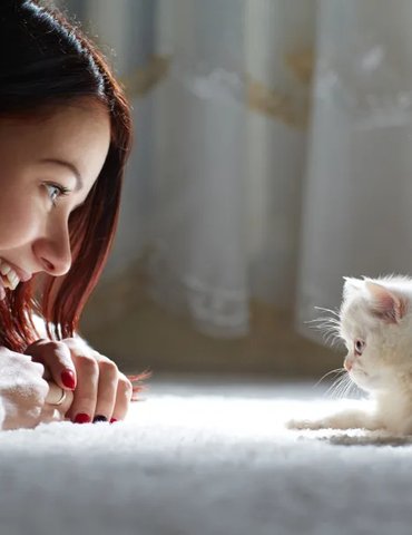 tiny white kitten laying on a carpet, in front of a woman laying down and staring at the kitten while smiling